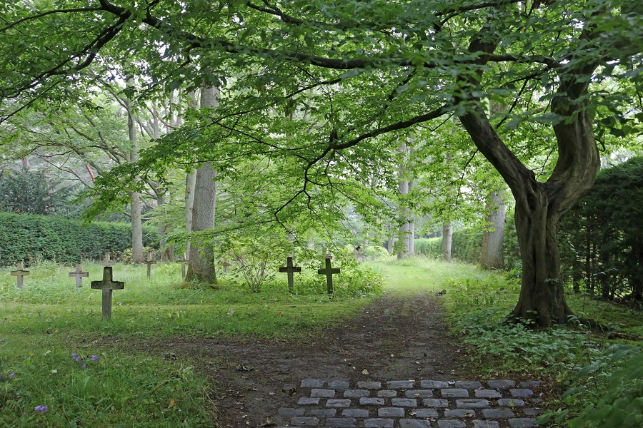 Mariebjerg kirkegård 