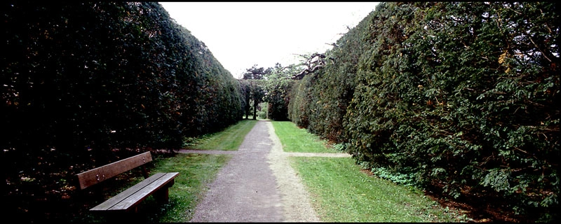 Mariebjerg kirkegård 