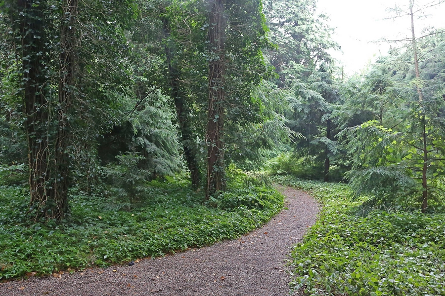 Mariebjerg kirkegård 