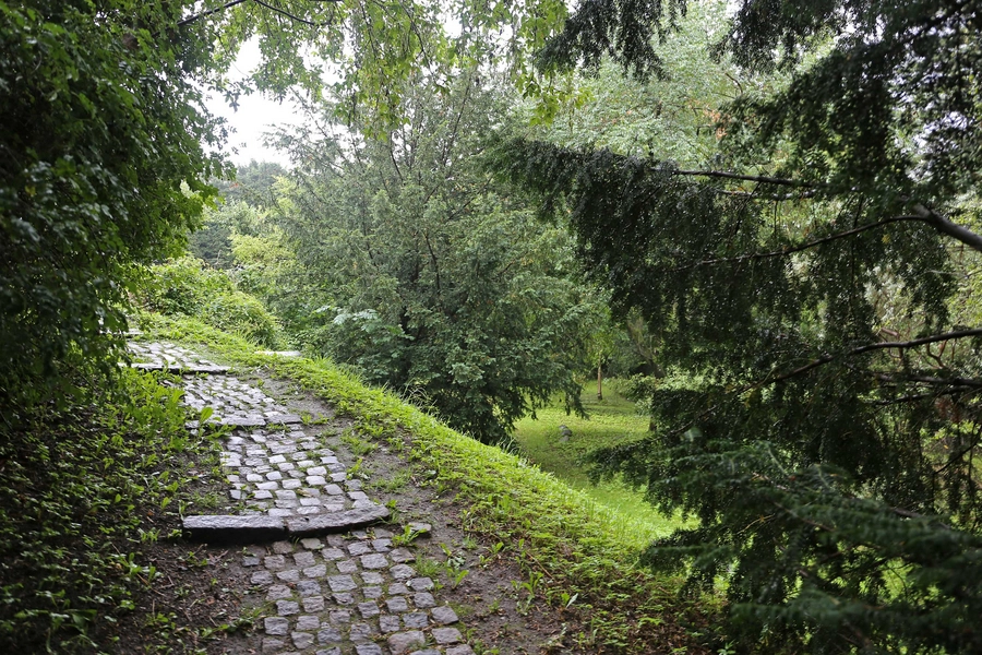 Mariebjerg kirkegård 