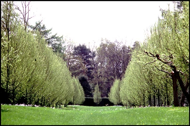 Mariebjerg kirkegård 