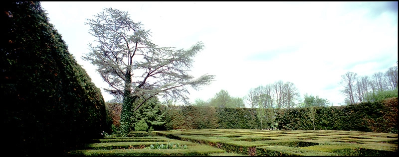 Mariebjerg kirkegård 