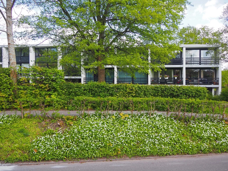 Marienlund - Skovfaldet 