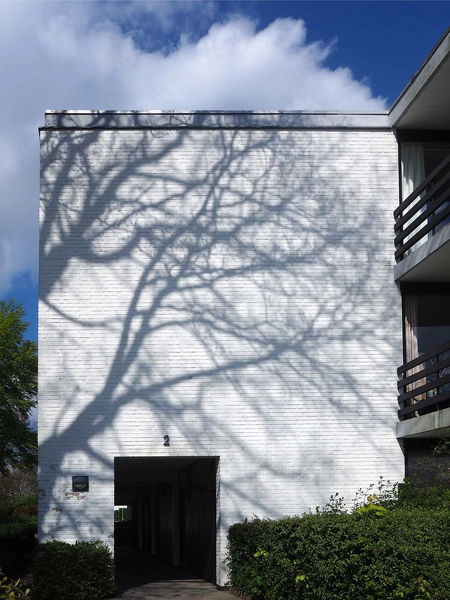 Marienlund - Skovfaldet 