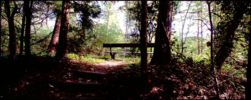 Mariebjerg kirkegård 