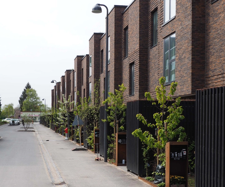 Grønttorvet - Geranium Rækkerne 