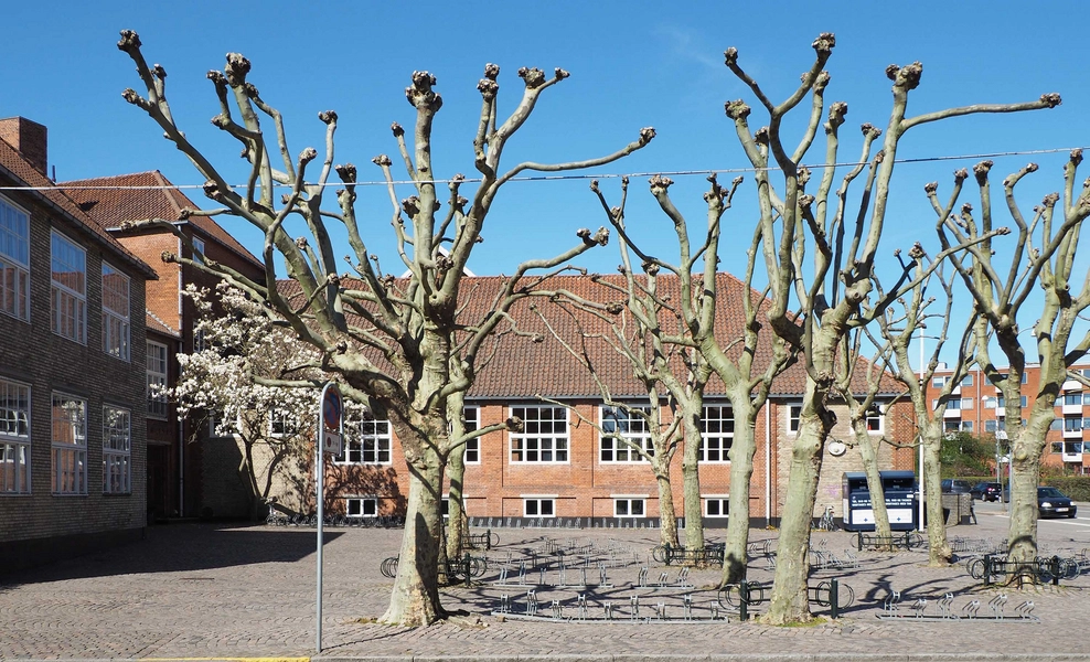 Falkonergårdens Gymnasium & HF 