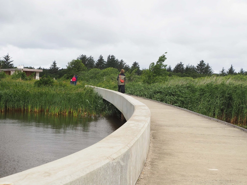 Filsø Ellipsen og Besøgscenter 