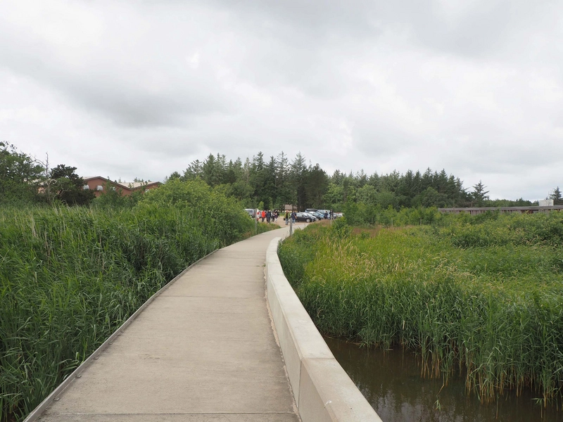 Filsø Ellipsen og Besøgscenter 