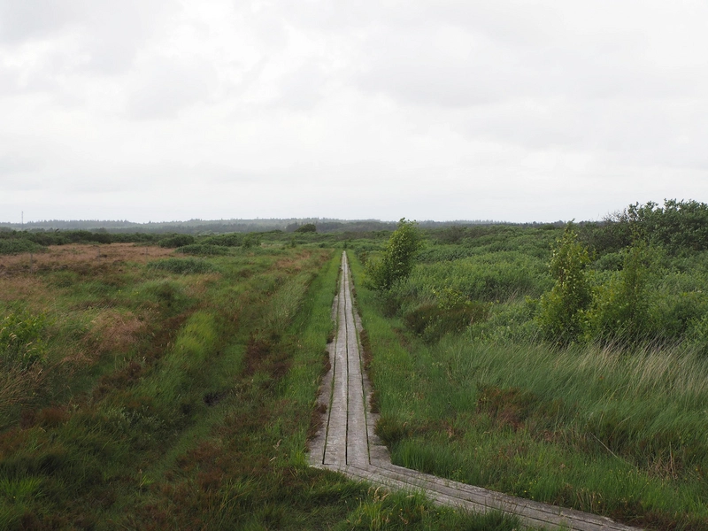 Filsø Ellipsen og Besøgscenter 