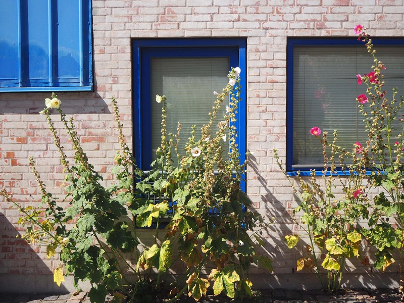 Brøstes Grund - Det Blå Hjørne 