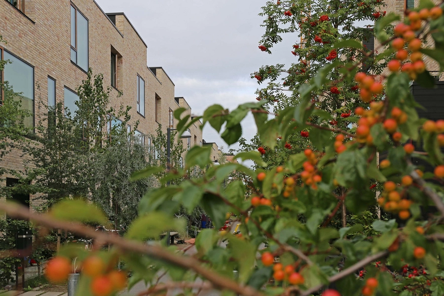 Byhusene på Islands Brygge 
