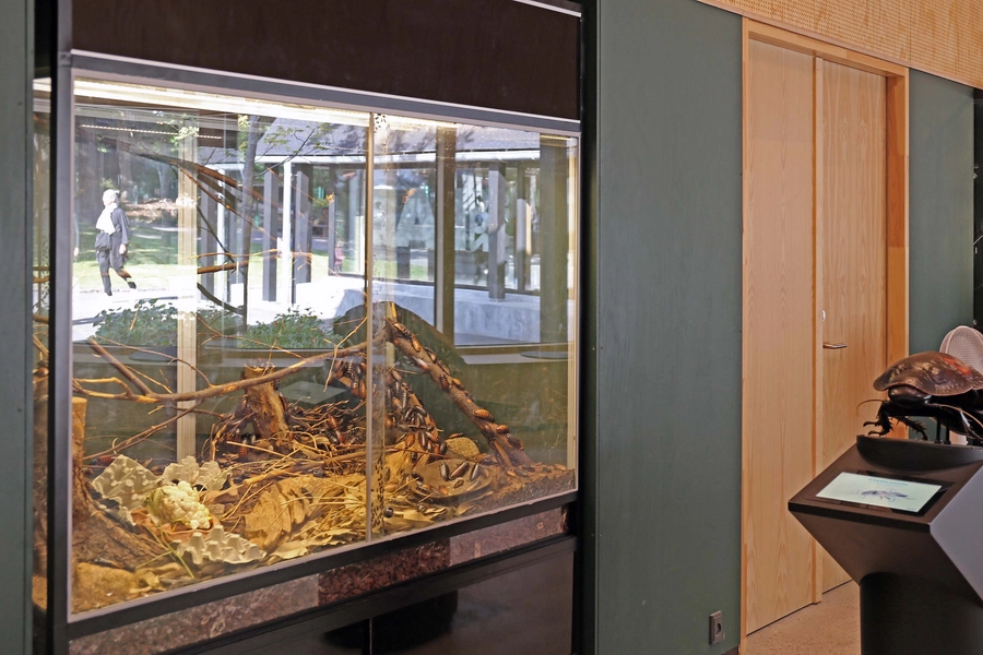 Zoolab - Zoologisk Have 