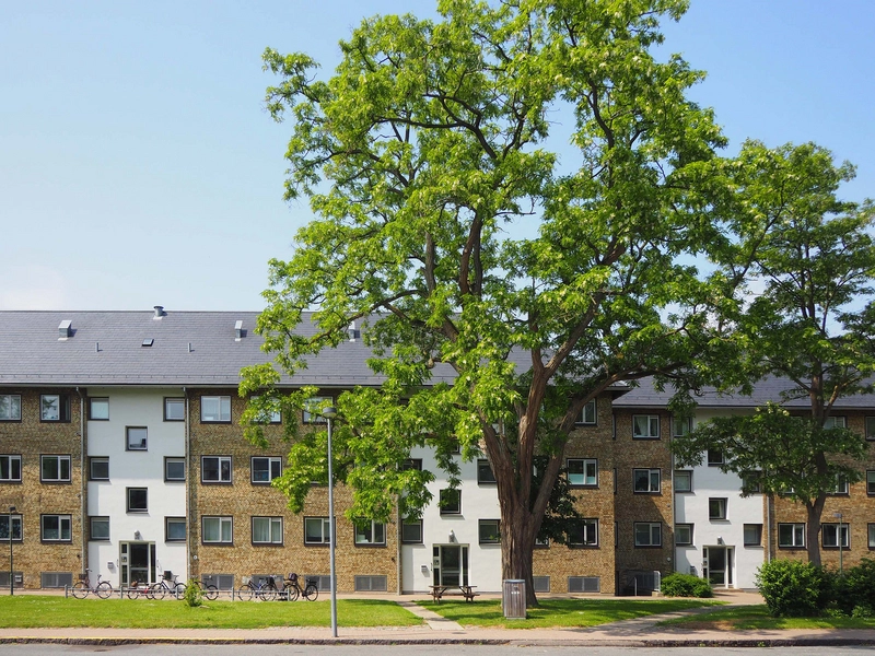 Voldparken AAB afdeling 38 