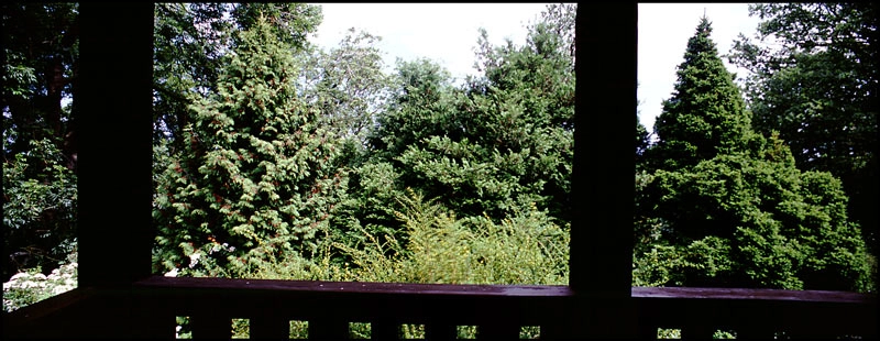 Hus ved Randkløve Vue fra bungalowens veranda