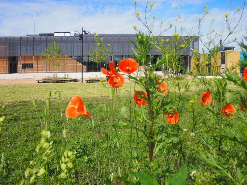 Jyllingehallerne - Kultur- og idrætscenter Jyllinge 