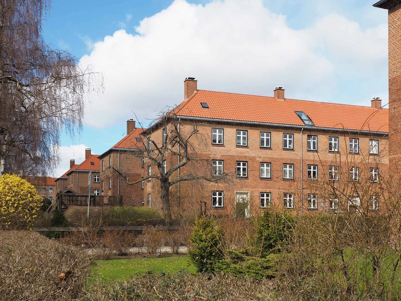 Blåmejsegården (Solbakken) 