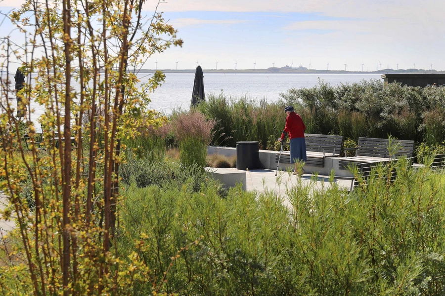 Stranden - Dansk Handicap Forbund 