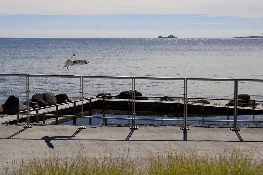 Stranden - Dansk Handicap Forbund 