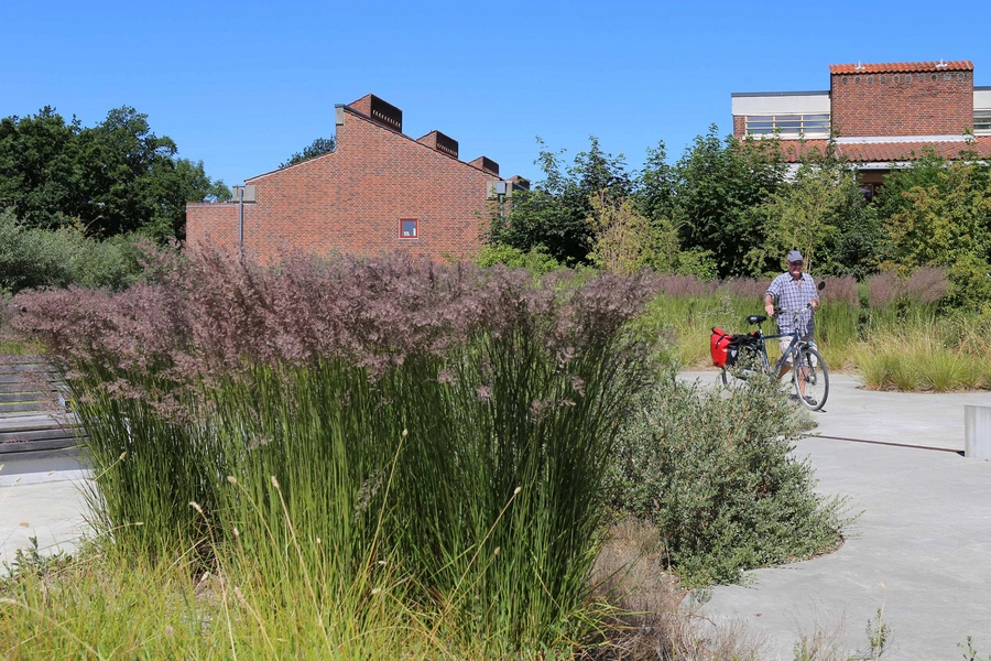 Stranden - Dansk Handicap Forbund 