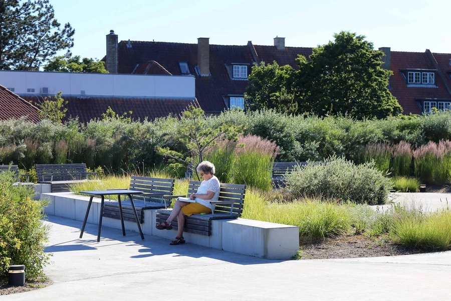 Stranden - Dansk Handicap Forbund 