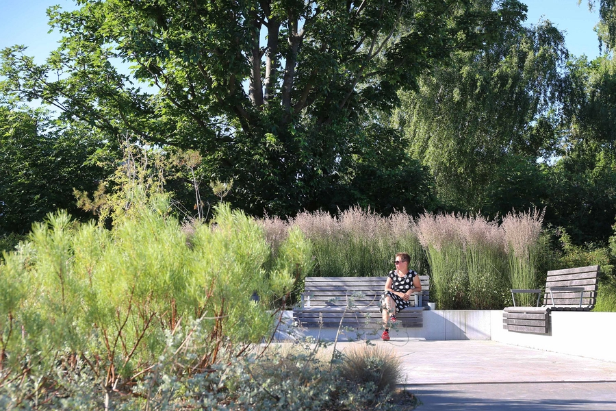 Stranden - Dansk Handicap Forbund 