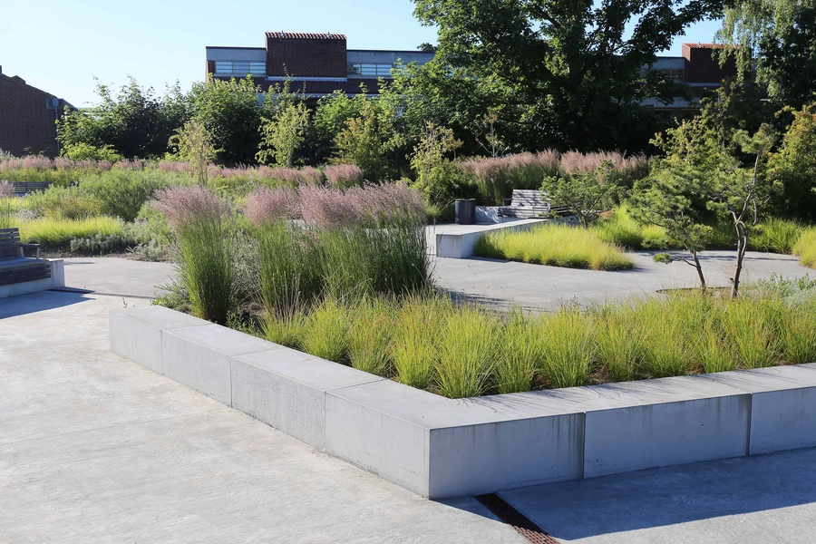 Stranden - Dansk Handicap Forbund 