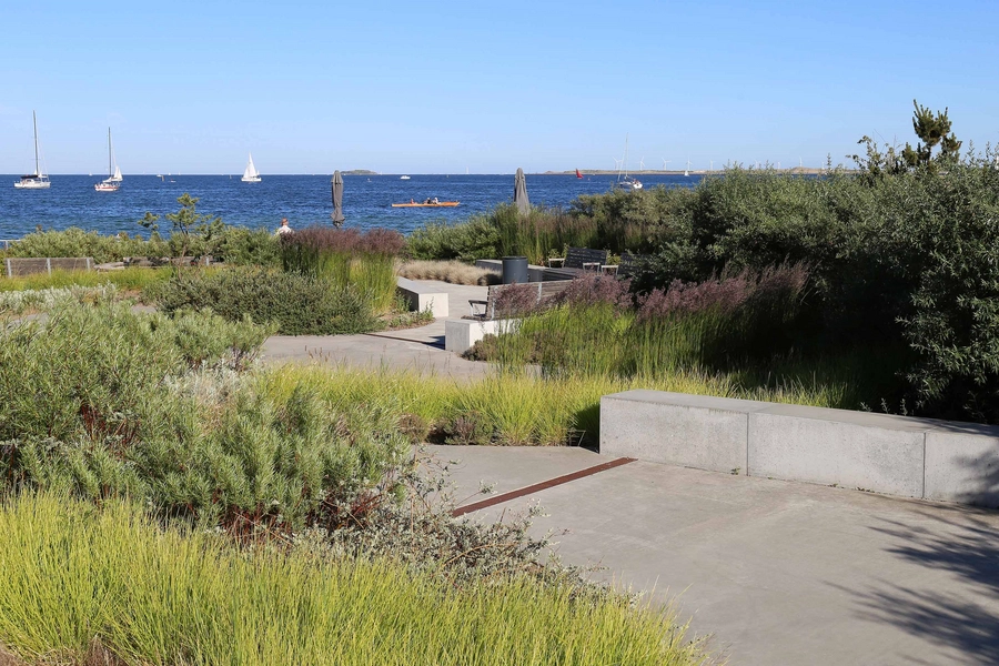 Stranden - Dansk Handicap Forbund 