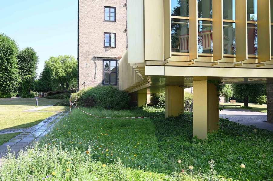 Sankt Lukas Bro Lindely 