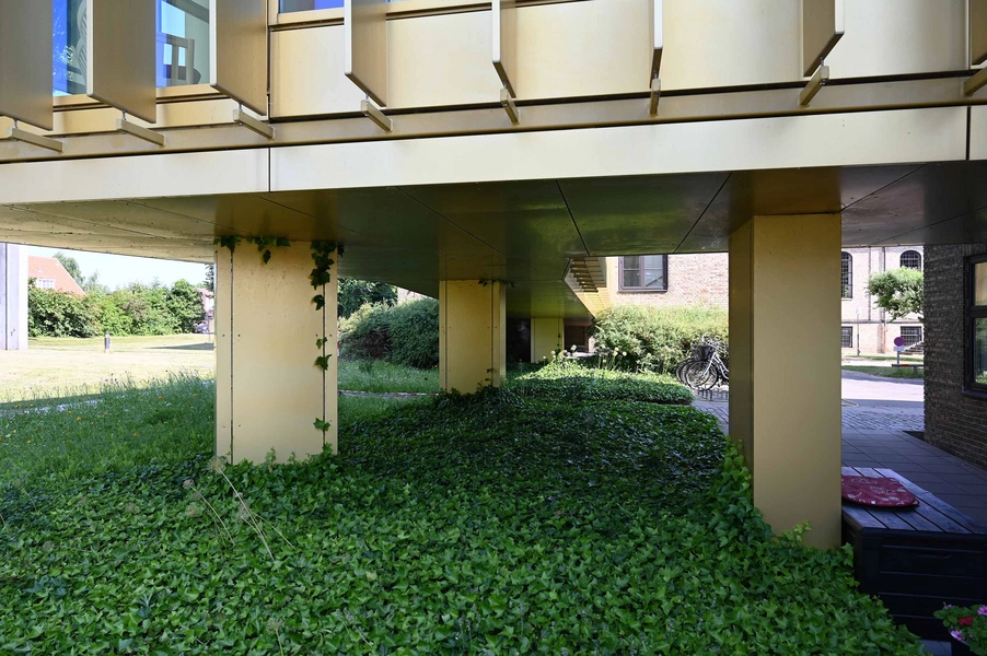 Sankt Lukas Bro Lindely 