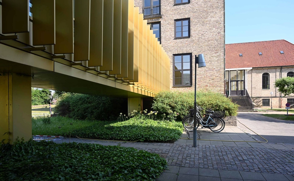 Sankt Lukas Bro Lindely 