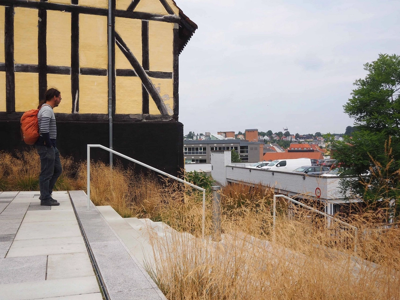 Svendborg Bymidte - Den Grønne Tråd 