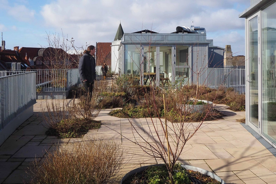 Oasis - Ny Østergade 30 