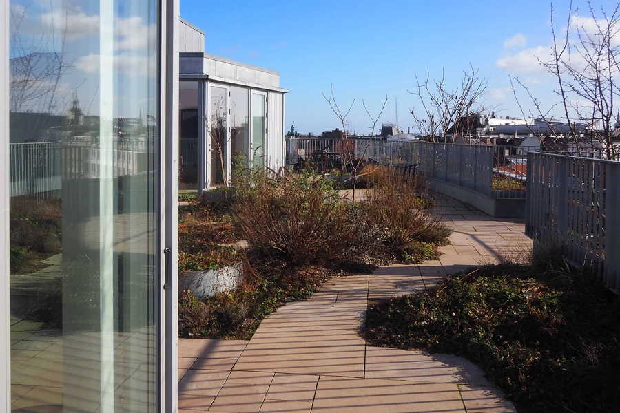 Oasis - Ny Østergade 30 