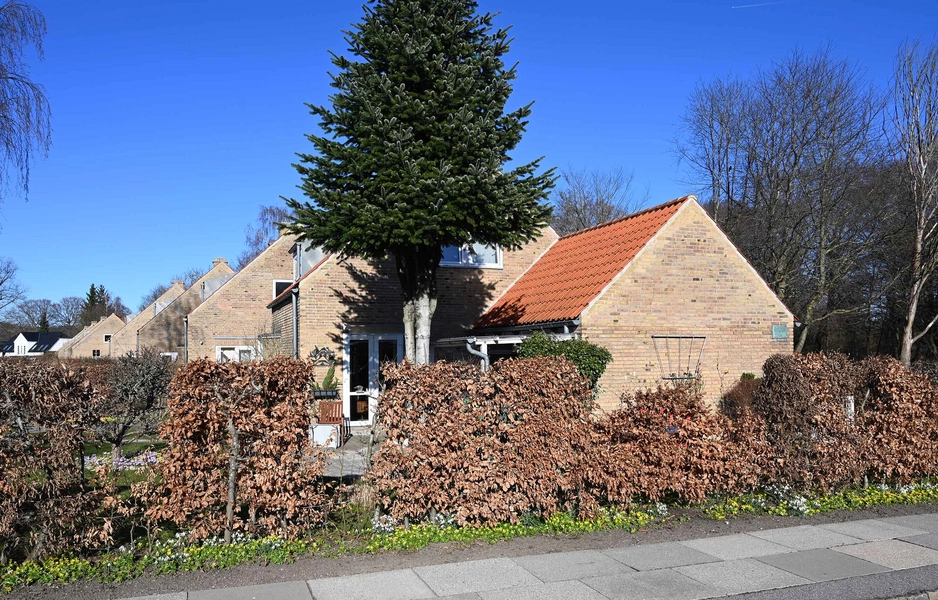 Bindeleddet - Rækkehuse 