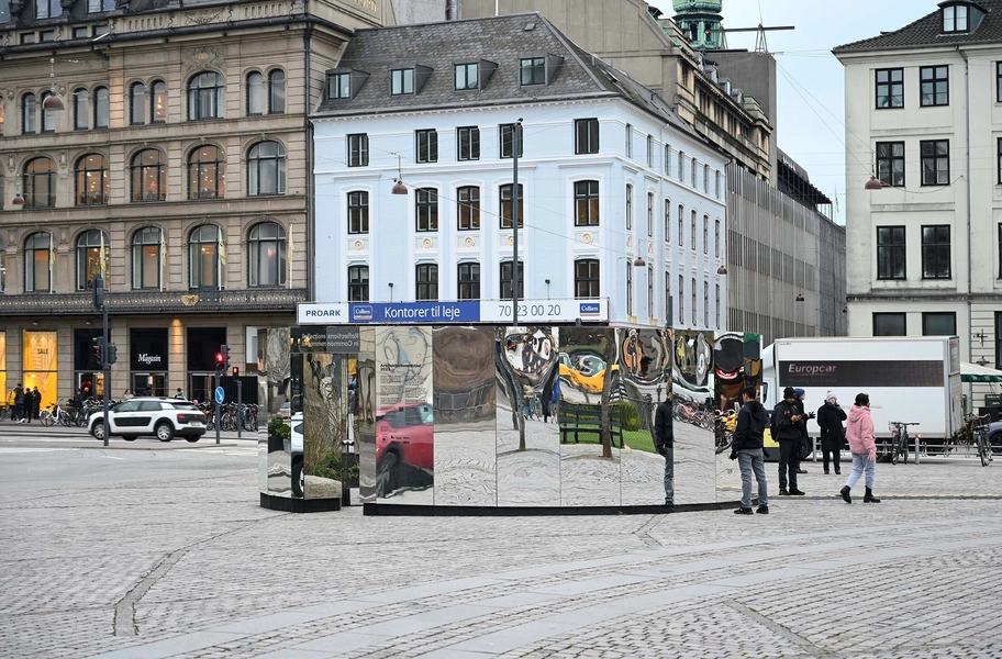 Reflections in Common 