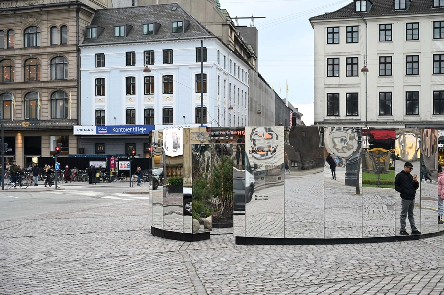 Reflections in Common 