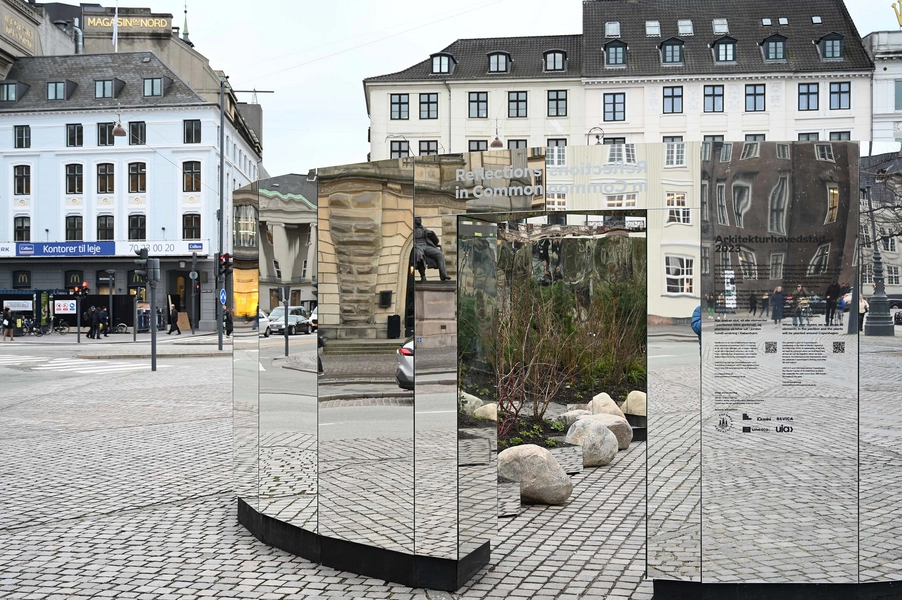 Reflections in Common 