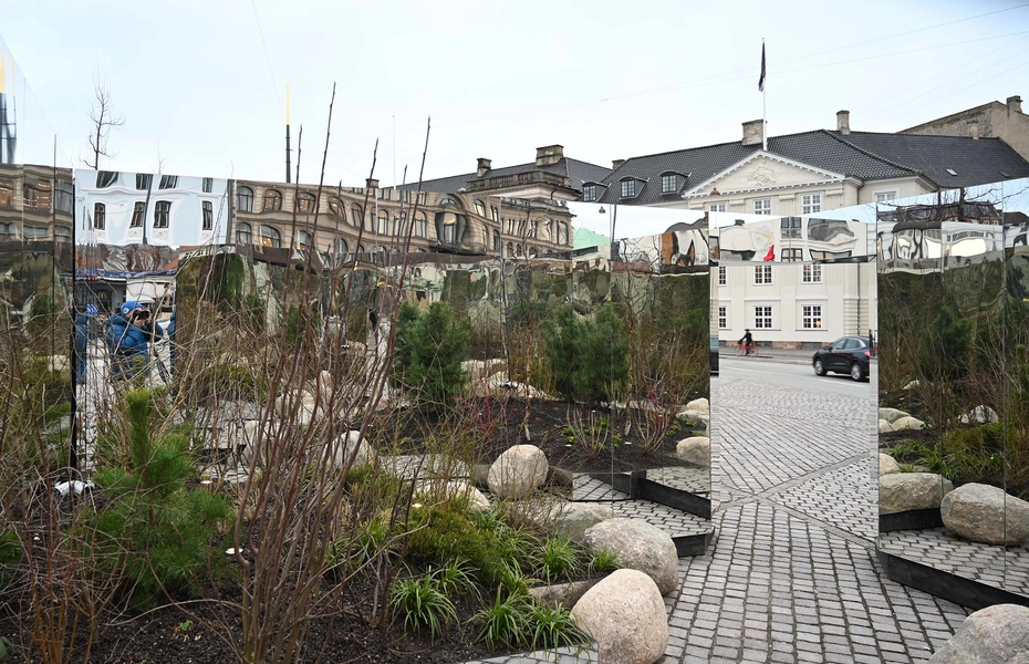 Reflections in Common 