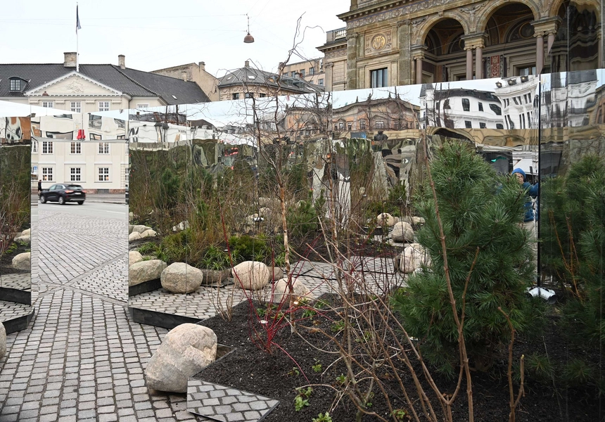 Reflections in Common 