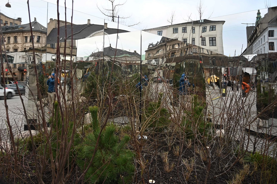 Reflections in Common 