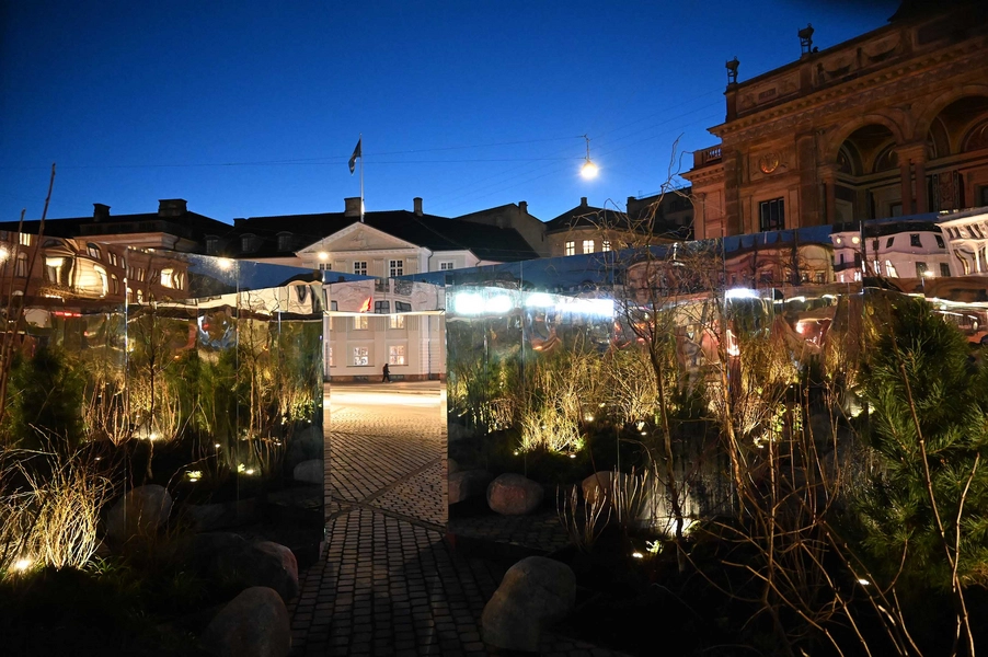 Reflections in Common 