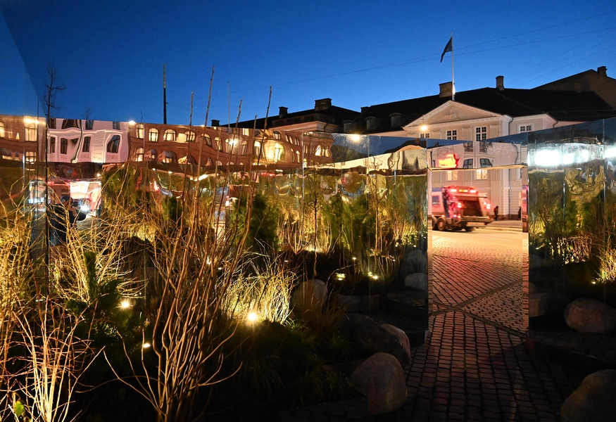 Reflections in Common 