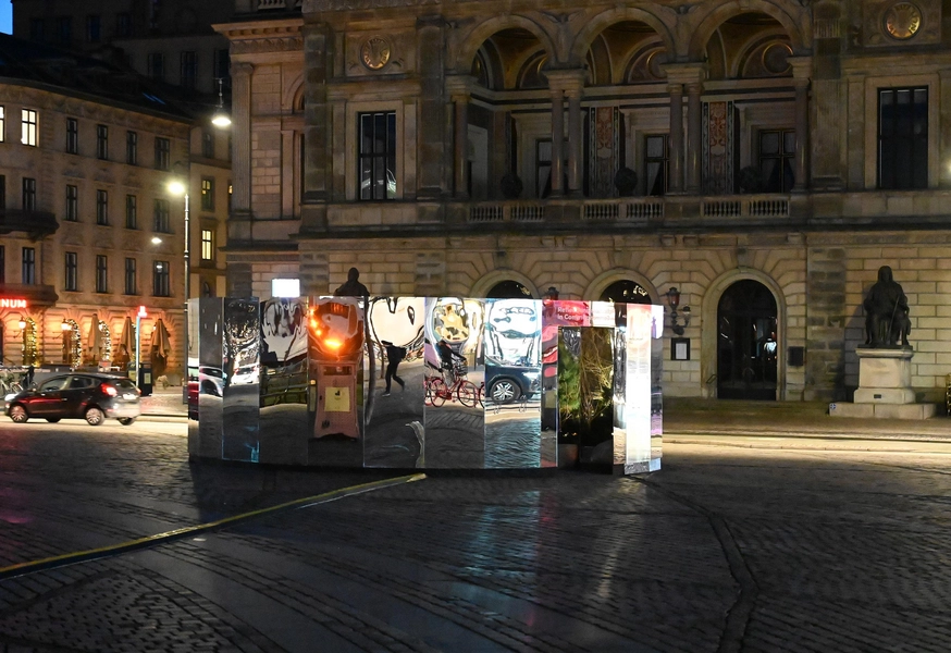 Reflections in Common 