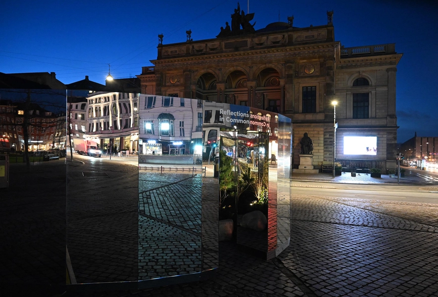 Reflections in Common 