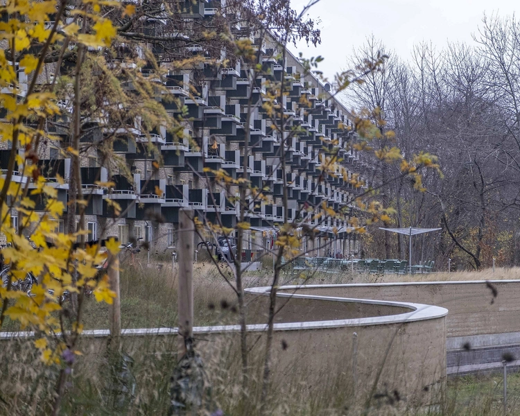 Fremtidens Gårdhave Tomsgårdsvej - Storgården 