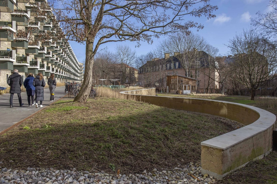 Fremtidens Gårdhave Tomsgårdsvej - Storgården 