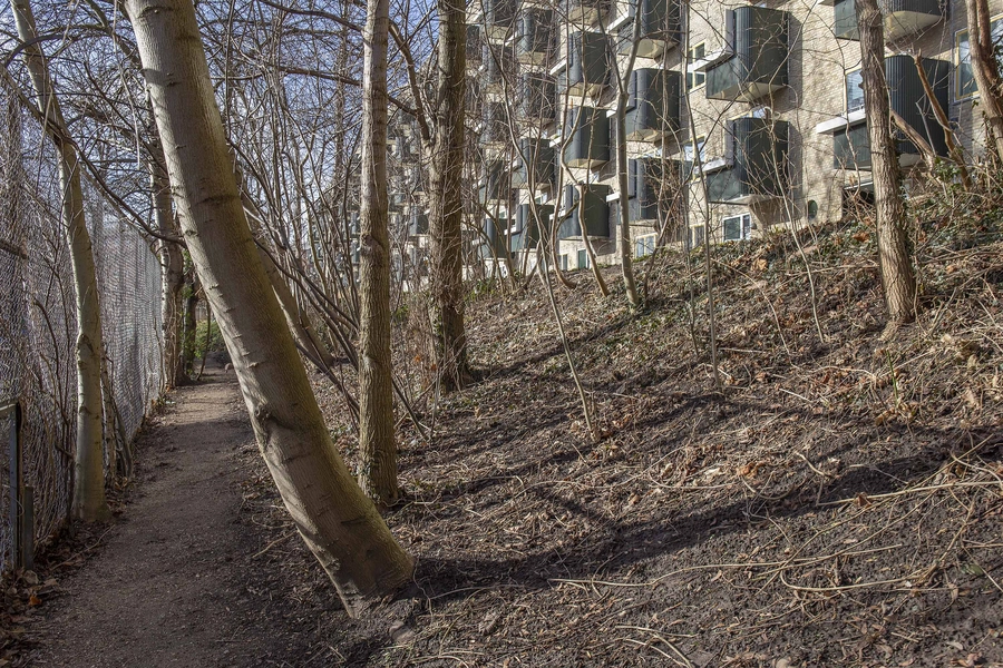 Fremtidens Gårdhave Tomsgårdsvej - Storgården 