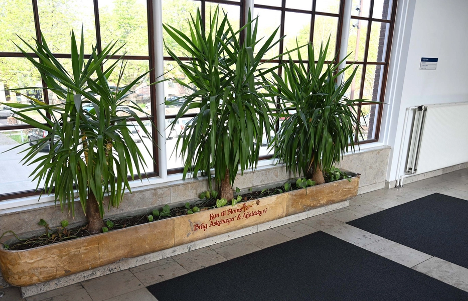 HF-Centret Efterslægten 