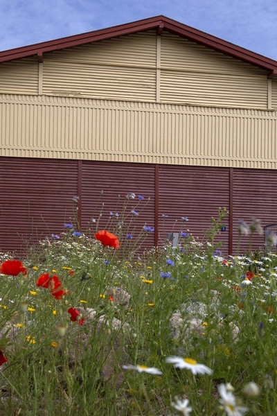 Børnehuset Grønnegården 